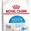 Royal Canin Indoor Appetite Control - Kattenvoer - 4 Kg -Katten Benodigdheden Winkel 625x1200 3