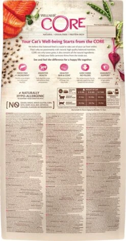 Wellness Core Grain Free Cat Sterilised - Zalm - Kattenvoer - 1.75 Kg -Katten Benodigdheden Winkel 627x1200 1