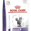 Royal Canin Dental - Kattenvoer - 3 Kg