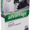 Advantage 80 Vlooiendruppelsl Kat Vanaf 4 Kg - 4 Pipetten 1 Advantage 80 Vlooiendruppelsl Kat Vanaf 4 Kg - 4 Pipetten -Katten Benodigdheden Winkel 701x1200 1