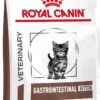 Royal Canin Gastrointestinal Kitten - 2 Kg -Katten Benodigdheden Winkel 730x1200 1