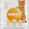 Iams Cat Adult - Lam - Kattenvoer - 10 Kg 2 Iams Cat Adult - Lam - Kattenvoer - 10 Kg -Katten Benodigdheden Winkel 731x1200 2
