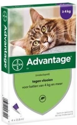 Bayer Advantage 40 Tegen Vlooien - <4kg - 4 X 0,4 Ml - Adult -Katten Benodigdheden Winkel 735x1200 5