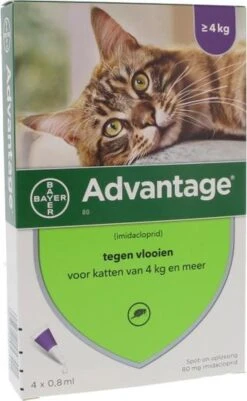 Bayer Anti Vlooienmiddel Advantage 80 > 4 Kg - 4 X 0,8 Ml -Katten Benodigdheden Winkel 739x1200 2