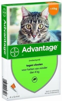 Bayer Anti Vlooienmiddel Advantage 80 > 4 Kg - 4 X 0,8 Ml -Katten Benodigdheden Winkel 744x1200