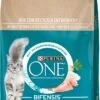 PURINA ONE Droog Kattenvoer Sensitive Met Kalkoen & Rijst, Adult, 2.8 Kg -Katten Benodigdheden Winkel 761x1200
