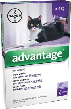 Bayer Anti Vlooienmiddel Advantage 80 > 4 Kg - 4 X 0,8 Ml -Katten Benodigdheden Winkel 783x1200 2