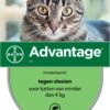 Bayer Advantage 40 Tegen Vlooien - <4kg - 4 X 0,4 Ml - Adult 2 Bayer Advantage 40 Tegen Vlooien - <4kg - 4 X 0,4 Ml - Adult -Katten Benodigdheden Winkel 786x1200