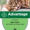 Bayer Anti Vlooienmiddel Advantage 80 > 4 Kg - 4 X 0,8 Ml -Katten Benodigdheden Winkel 788x1200 2