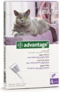 Bayer Anti Vlooienmiddel Advantage 80 > 4 Kg - 4 X 0,8 Ml -Katten Benodigdheden Winkel 792x1200