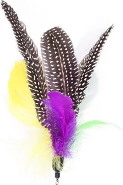 Merkloos Kattenhengel Met 10 Opzetstukjes - Kat Speelhengel Met Veren - Speelgoed Hengel Voor Katten – Kittenspeeltjes Met Veer – Kattenspeelgoed – Katten Speeltjes -Katten Benodigdheden Winkel 799x1200 13