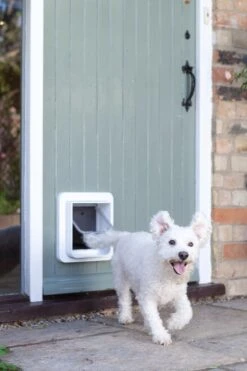 SureFlap Microchip Dualscan - Kattenluik - M - 14 X 12 Cm 24 SureFlap Microchip Dualscan - Kattenluik - M - 14 X 12 Cm -Katten Benodigdheden Winkel 800x1200 20