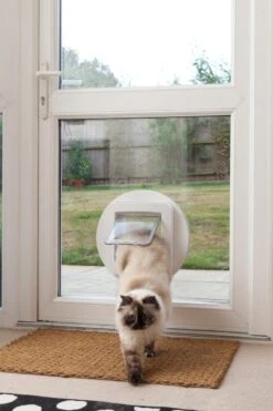 Sureflap Montageadapter Voor Kattenluik - Wit - 14 X 12 Cm -Katten Benodigdheden Winkel 800x1200 21