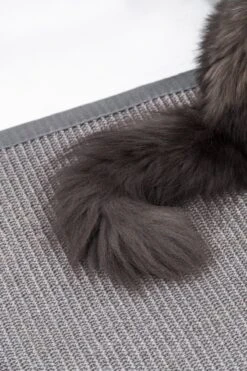 Petrebels Mastermat 60 Katten Krabmat - Grijs - 60 X 40 Cm - Zeer Sterk -Katten Benodigdheden Winkel 800x1200 24