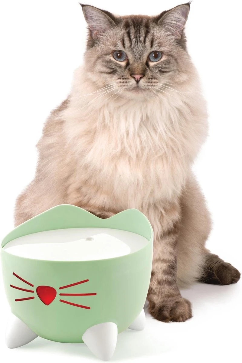 Catit Pixi Fountain - Kattendrinkbak - 20x20x16 Cm Groen 6 Catit Pixi Fountain - Kattendrinkbak - 20x20x16 Cm Groen - Afbeelding 4