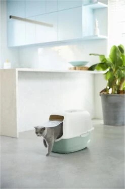 Rotho Bailey - Kattenbak - Groen/Zand -Katten Benodigdheden Winkel 800x1200 7