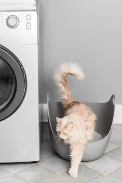 LitterLocker LitterBox - Grijs -Katten Benodigdheden Winkel 800x1200 8