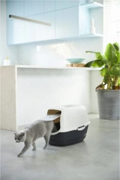 Rotho Bailey - Kattenbak - Zwart/Zand 13 Rotho Bailey - Kattenbak - Zwart/Zand -Katten Benodigdheden Winkel 801x1200 2