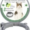 Teken- En Vlooienband Voor Katten PLUS - Natuurlijk Middel Tegen Vlooien En Teken - 100% Natuurlijk - 38,5 CM - Tot 8 Maand Werkzaam - Biologisch 2 Teken- En Vlooienband Voor Katten PLUS - Natuurlijk Middel Tegen Vlooien En Teken - 100% Natuurlijk - 38,5 CM - Tot 8 Maand Werkzaam - Biologisch -Katten Benodigdheden Winkel 819x1200 1