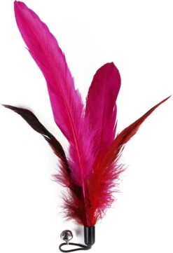 Merkloos Kattenhengel Met 10 Opzetstukjes - Kat Speelhengel Met Veren - Speelgoed Hengel Voor Katten – Kittenspeeltjes Met Veer – Kattenspeelgoed – Katten Speeltjes -Katten Benodigdheden Winkel 822x1200 7