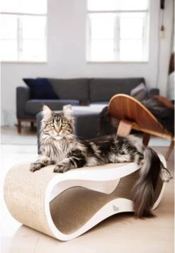 MyKotty LUI - Krabpaal - Wit - 75 X 25 Cm -Katten Benodigdheden Winkel 830x1200 1