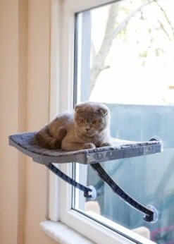 Hobipets - Kattenmand Raam - 5 Zuignappen - Hangmat Kat Raam 8 Hobipets - Kattenmand Raam - 5 Zuignappen - Hangmat Kat Raam -Katten Benodigdheden Winkel 857x1200 1