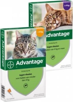 Bayer Anti Vlooienmiddel Advantage 80 > 4 Kg - 4 X 0,8 Ml -Katten Benodigdheden Winkel 866x1200 4