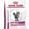 Royal Canin Mobility - Kattenvoer - 2 Kg 2 Royal Canin Mobility - Kattenvoer - 2 Kg -Katten Benodigdheden Winkel 897x1200
