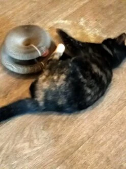 Kattenspeelgoed - Ronde, Opvouwbare En Vervormbare Krabmat Voor Katten Met Bal Met Belletjes Van Golfkartonpapier - Interactief Krabspeelgoed Voor Katten -Katten Benodigdheden Winkel 900x1200 37