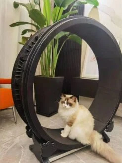 Merkloos Petlux - Looprad / Loopwiel Voor Kat - Kattenspeelgoed - 11 Merkloos Petlux - Looprad / Loopwiel Voor Kat - Kattenspeelgoed - -Katten Benodigdheden Winkel 901x1200 3