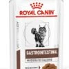 Royal Canin Gastro Intestinal Moderate Calorie Kat 12x85 Gr. 1 Royal Canin Gastro Intestinal Moderate Calorie Kat 12x85 Gr. -Katten Benodigdheden Winkel 903x1200