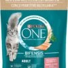 PURINA ONE Katten Droogvoer Met Zalm En Volle Granen, Adult, 900 G 2 PURINA ONE Katten Droogvoer Met Zalm En Volle Granen, Adult, 900 G -Katten Benodigdheden Winkel 960x1200 2