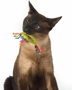 Petstages Dental Health Chew Kattenspeelgoed - Catnip -Katten Benodigdheden Winkel 960x1200 8