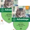 Bayer Advantage 40 Kat 4 Pip - Anti Vlooienmiddel - 2 X 0.4 Ml - 0 - 4 Kg