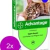 Bayer Advantage 80 Kat 4 Pip - Anti Vlooienmiddel - 2 X 0.8 Ml - > 4 Kg -Katten Benodigdheden Winkel 968x1200 1