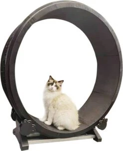 Merkloos Petlux - Looprad / Loopwiel Voor Kat - Kattenspeelgoed - 10 Merkloos Petlux - Looprad / Loopwiel Voor Kat - Kattenspeelgoed - -Katten Benodigdheden Winkel 982x1200 6