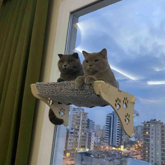 Katten Benodigdheden Winkel -Katten Benodigdheden Winkel 21698f8897c23cf7d19e59239ca28162