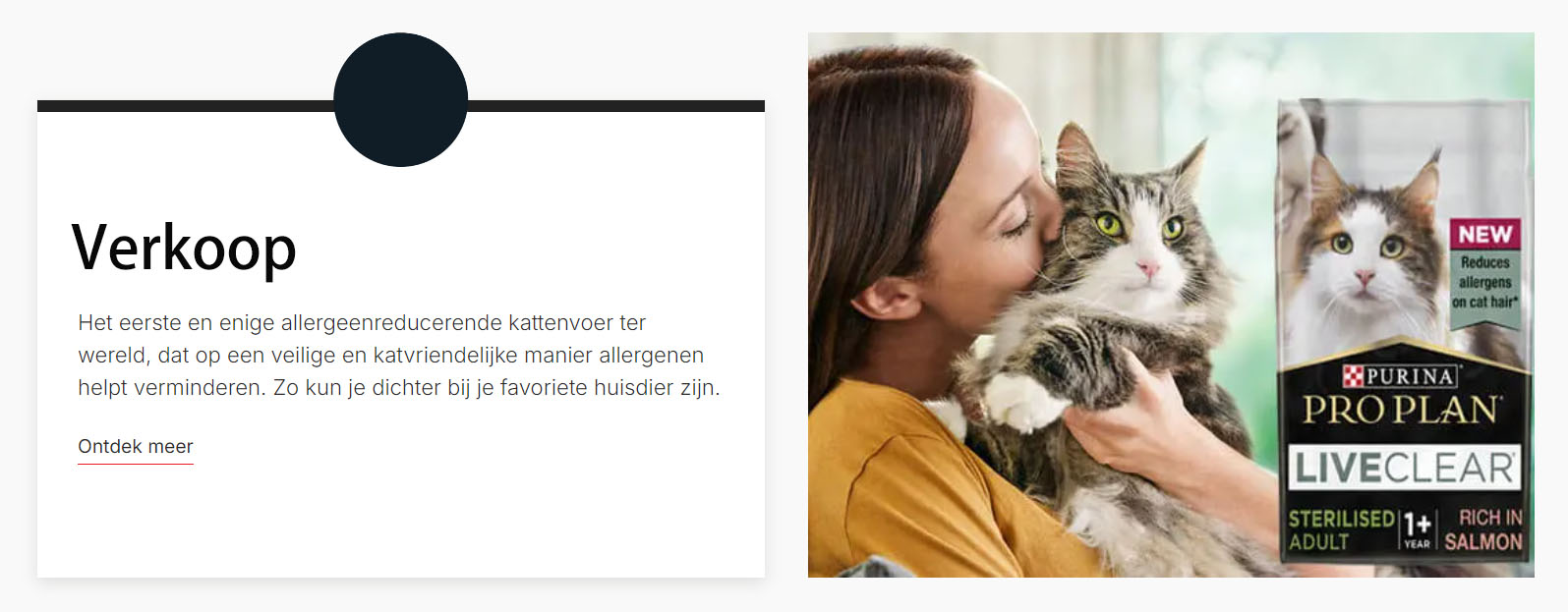 Katten Benodigdheden Winkel -Katten Benodigdheden Winkel RTYRFH